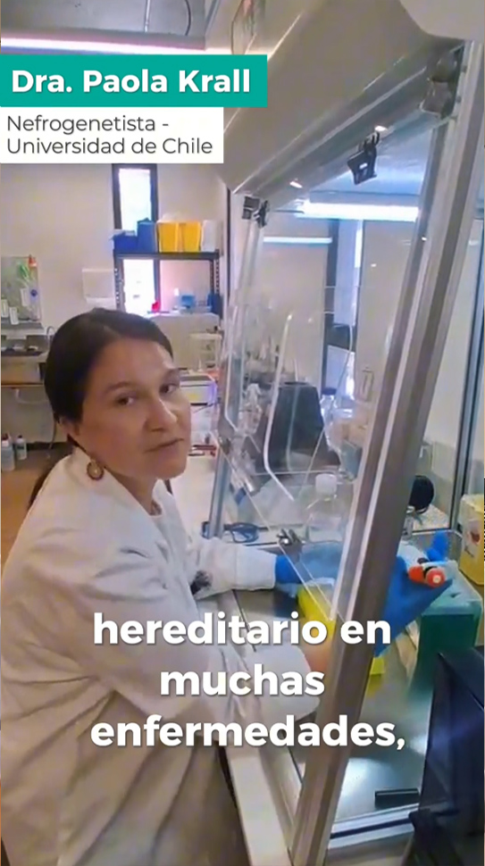 Video 2