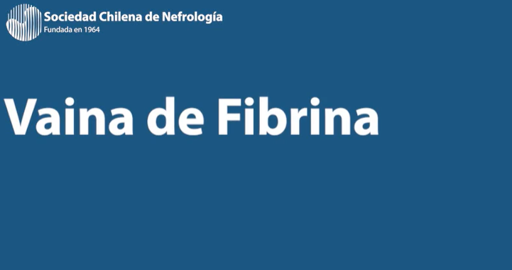 Vaina de Fibrina